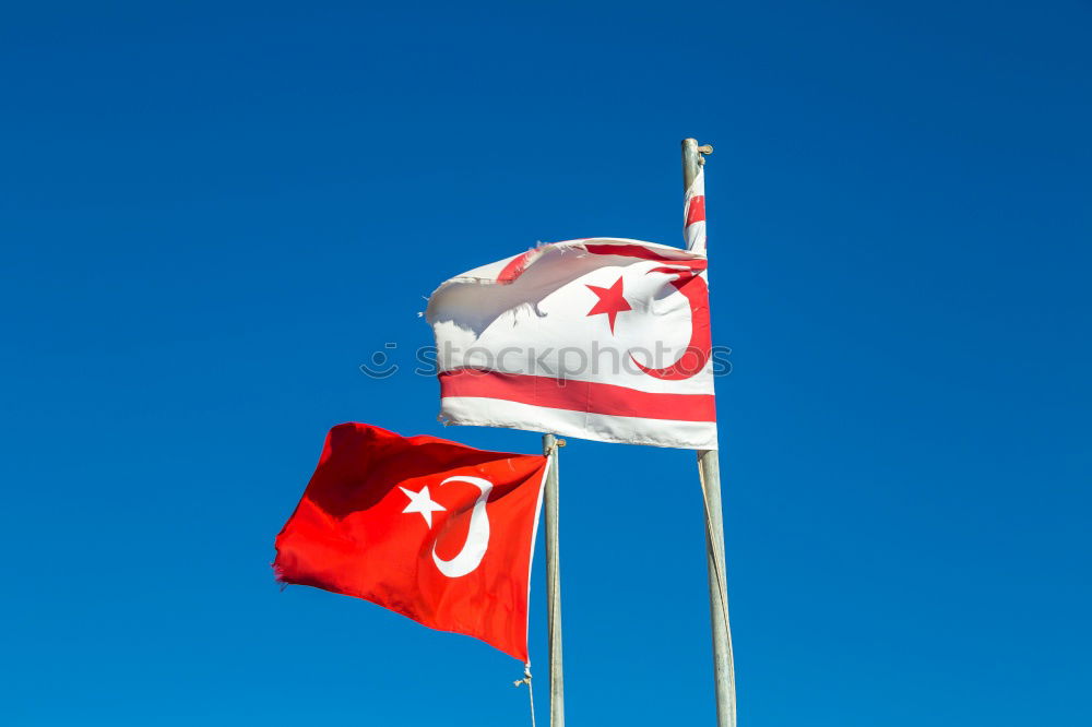 Similar – Image, Stock Photo Circling Milan Flag Bird