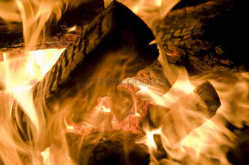 Similar – Image, Stock Photo fiery Match Blaze Ignite