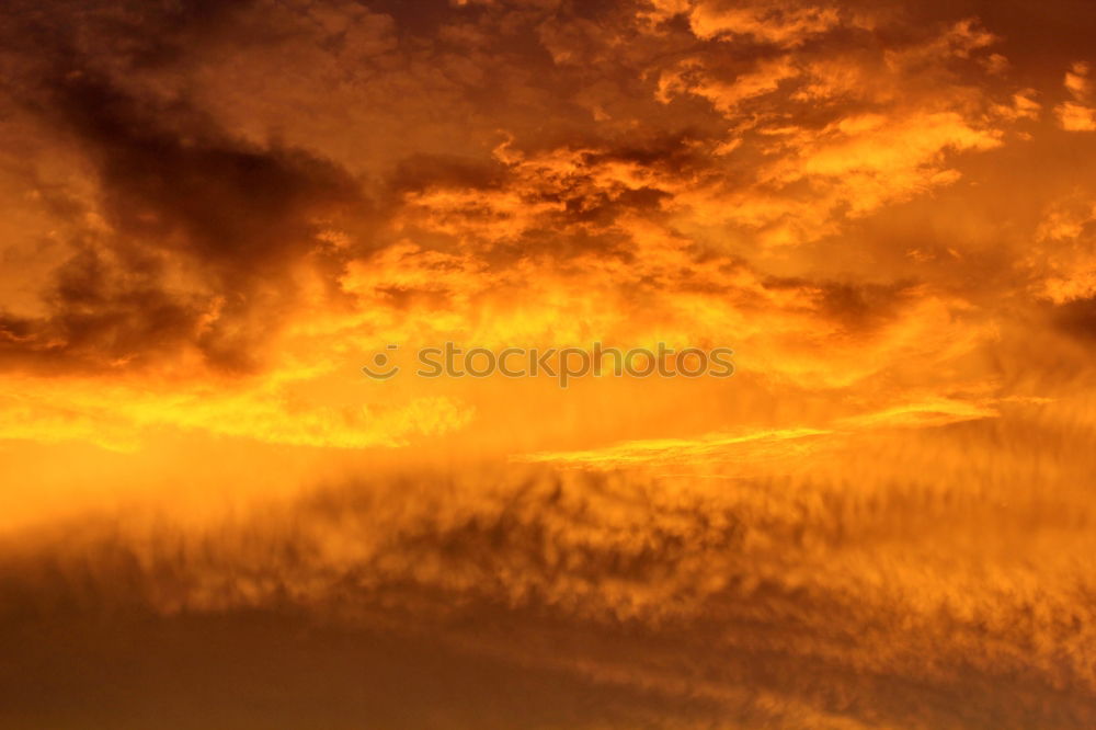 Similar – Image, Stock Photo Forest fire