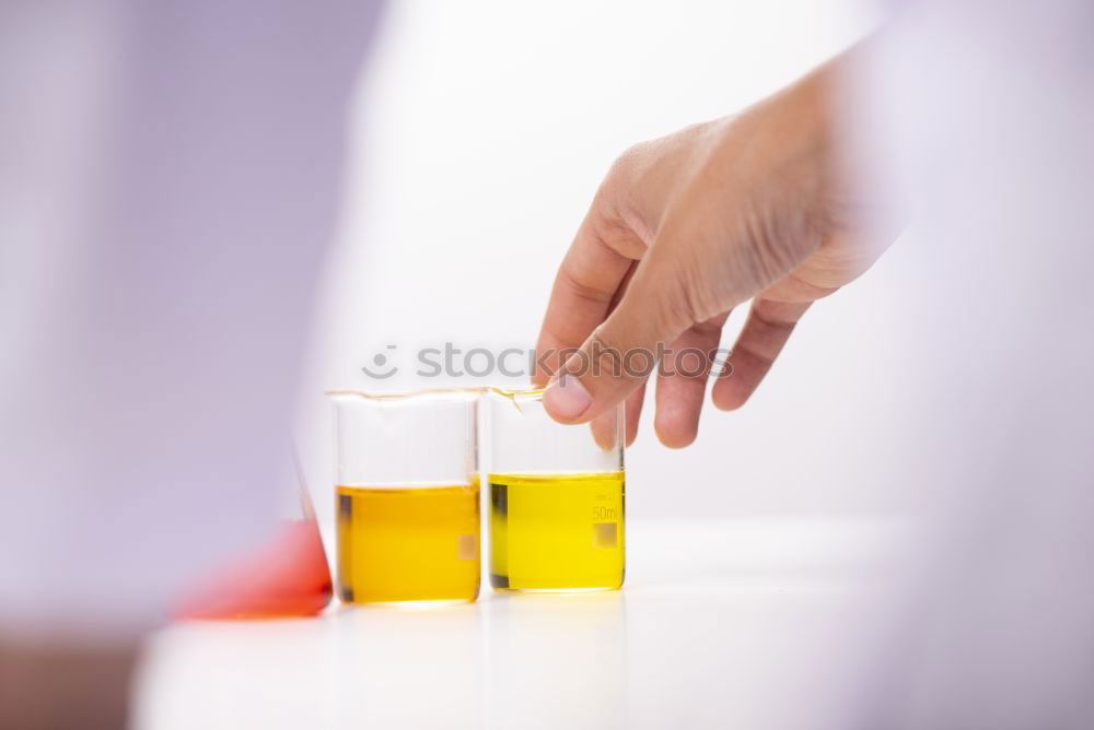 Similar – Image, Stock Photo Female friends cheers clinking bottles of beer.