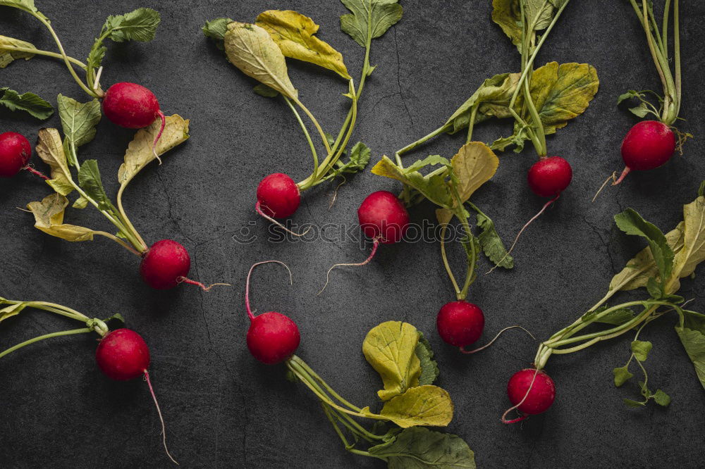 Similar – Image, Stock Photo Fresh white and red radishes with leaves