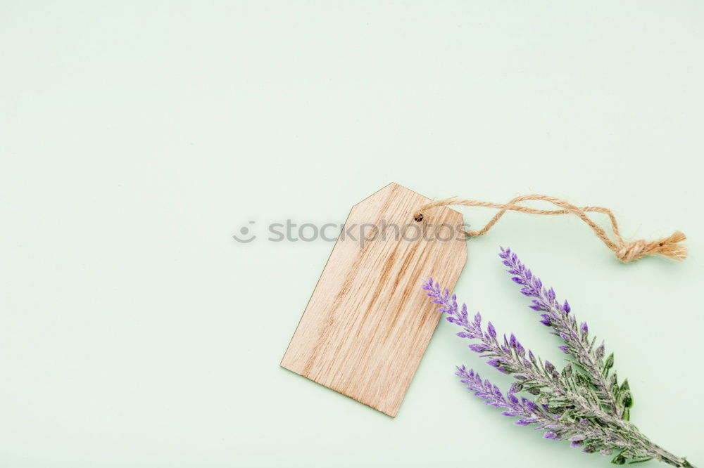 Similar – Image, Stock Photo bouquet of pink carnations with a paper tag