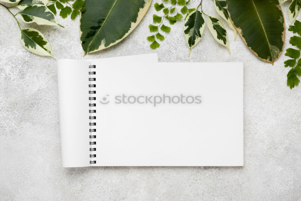 Image, Stock Photo White sheet of paper & the leaf of a monstera on pink background