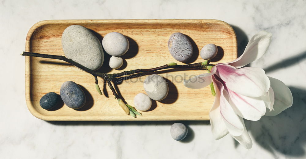 Similar – Image, Stock Photo Pink macaroons, peach and lavender flavor