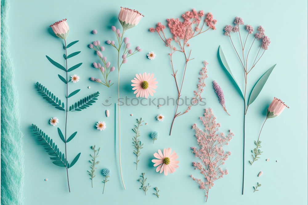 Similar – Image, Stock Photo Kischblüten branches on pastel blue