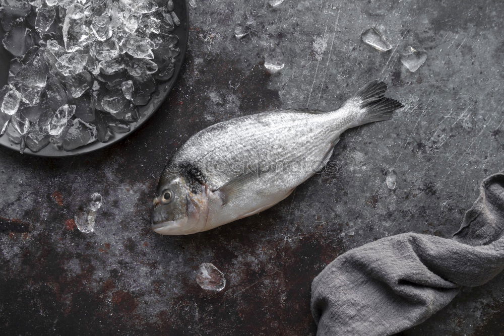 Similar – Raw fish. Sea bream, sea bass, mackerel and sardines