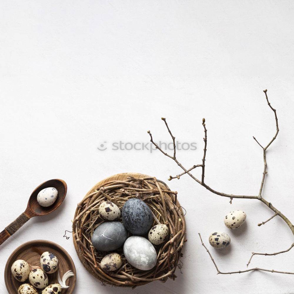 Similar – Rustic Easter table setting with eggs on a wooden table