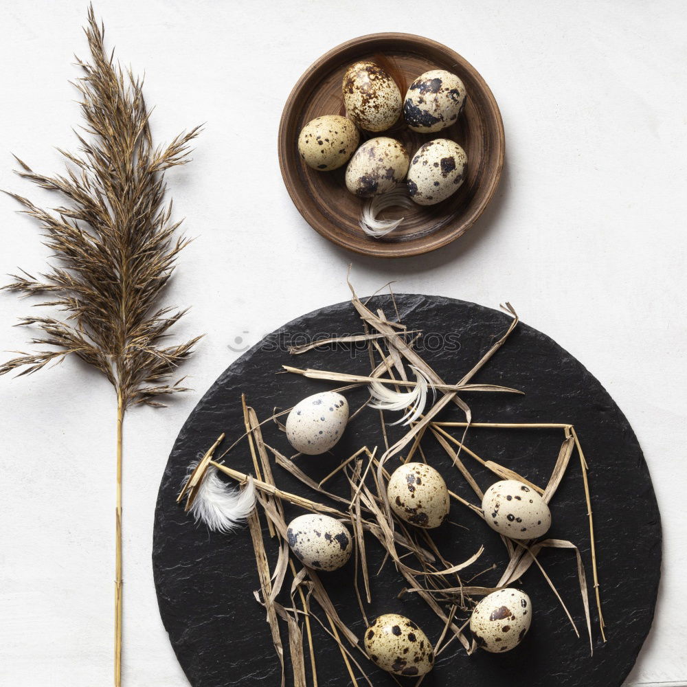 Similar – Rustic Easter table setting with eggs on a wooden table