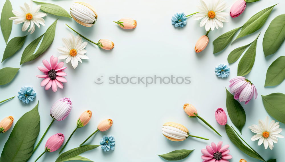 Similar – Image, Stock Photo Various flowers and leaves for bouquet
