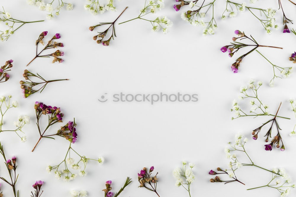 Similar – Image, Stock Photo Easter decoration with hyacinths and petals