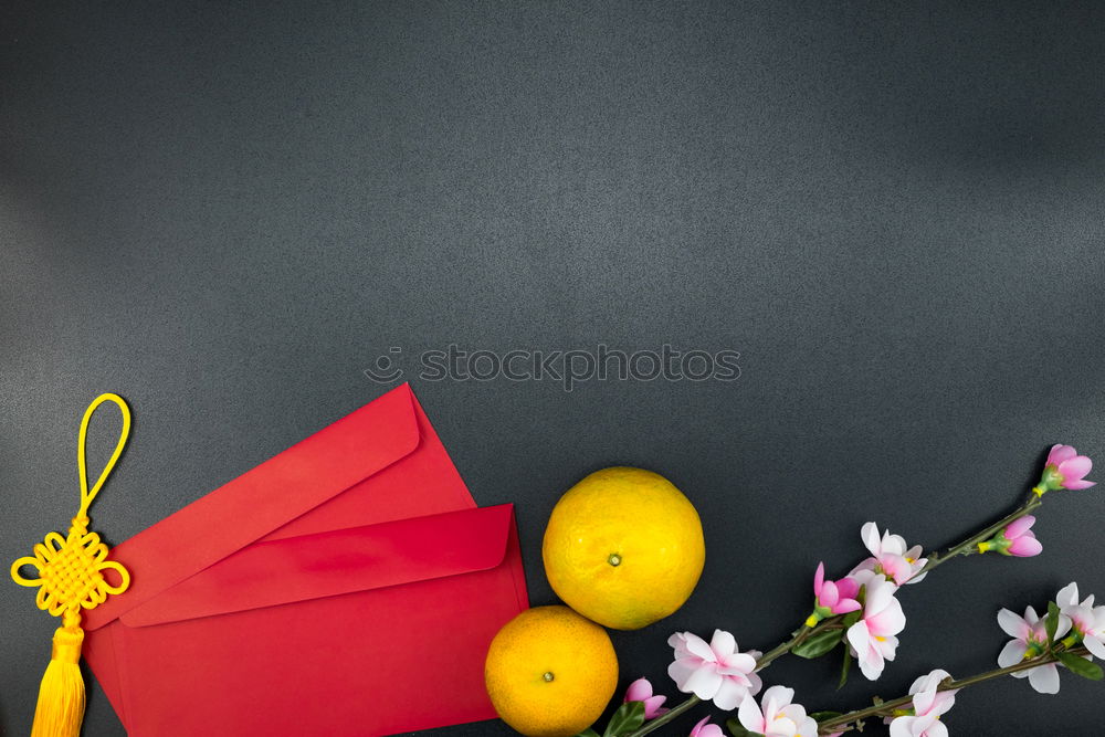 Similar – Beautiful Chinese woman with a red umbrella