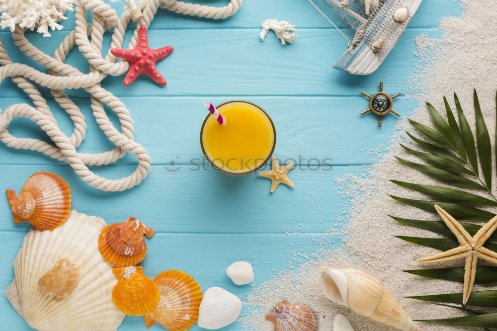 Seafood on a blue background with algae