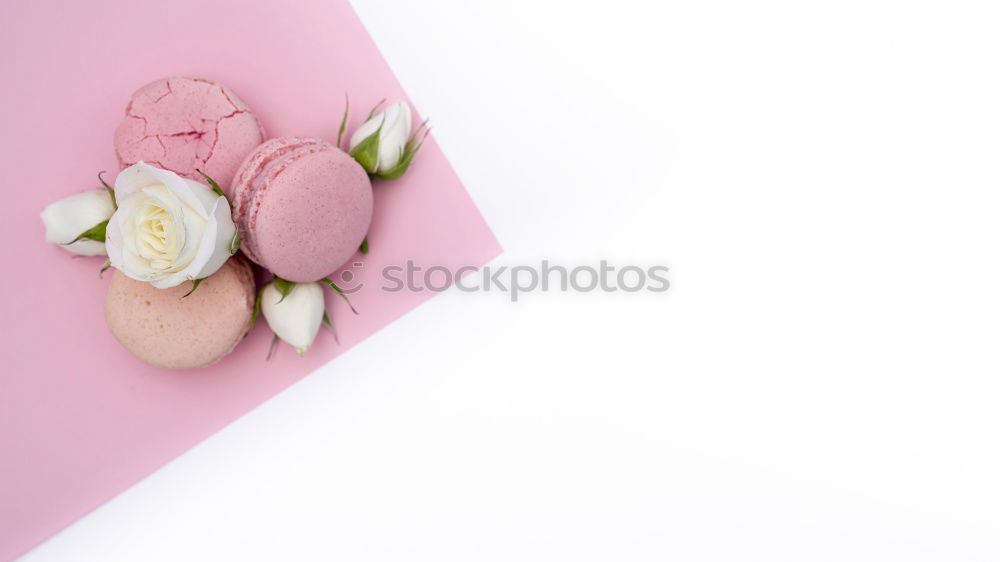 Similar – Colorful macarons in a bow