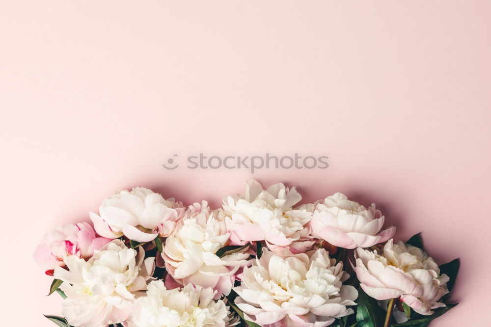 Similar – Image, Stock Photo Open envelope with flowers