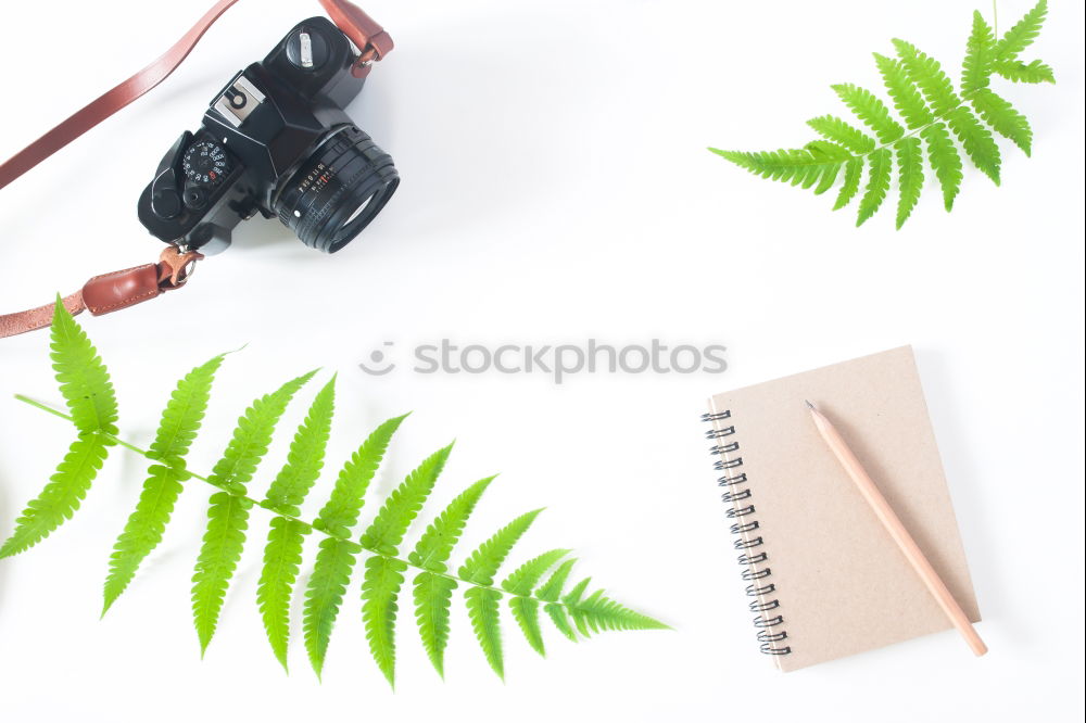 Similar – Image, Stock Photo Tablet with a handwritten “hello beautiful” on pink background