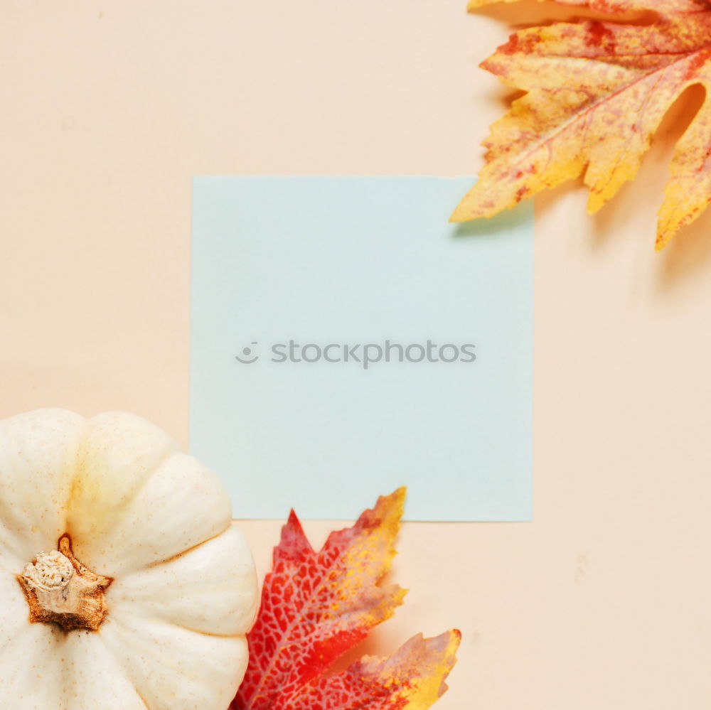 Similar – Bฺlank paper with autumn leaves and pumpkin