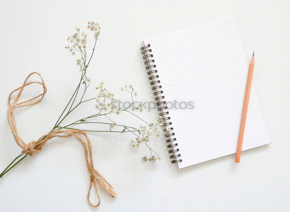 empty notebook in a line