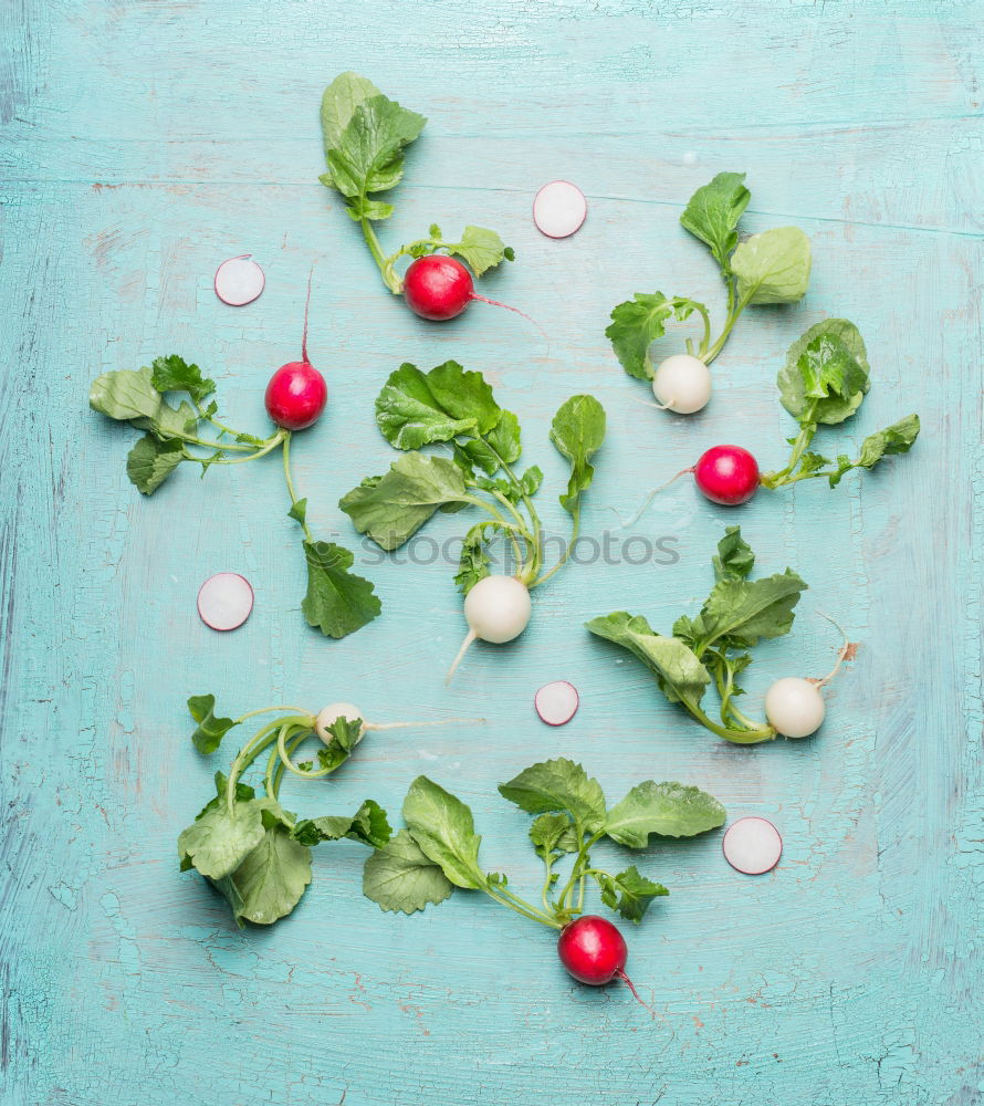Similar – Image, Stock Photo White and red radishes with leaves