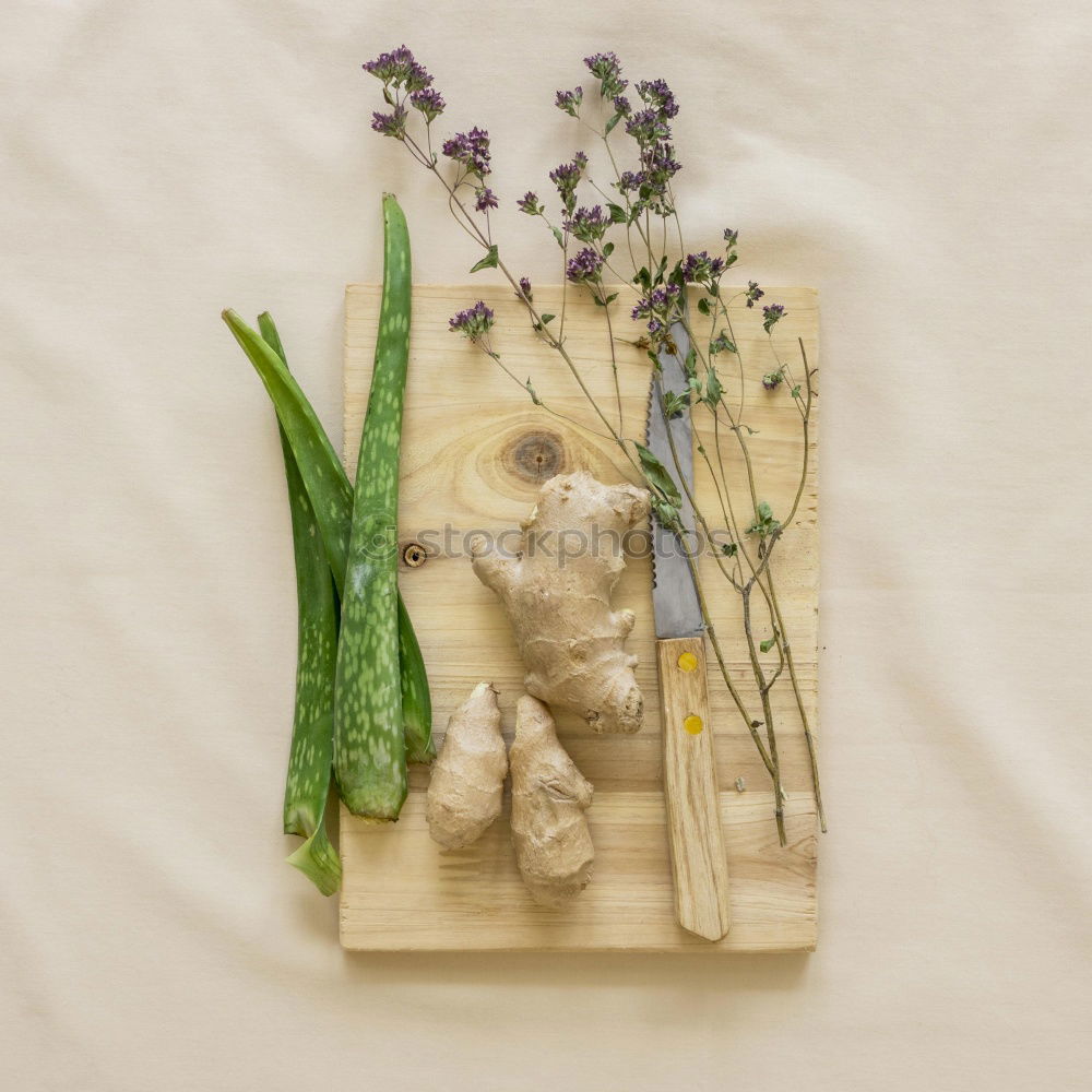 Similar – Image, Stock Photo herbarium Elegant Style