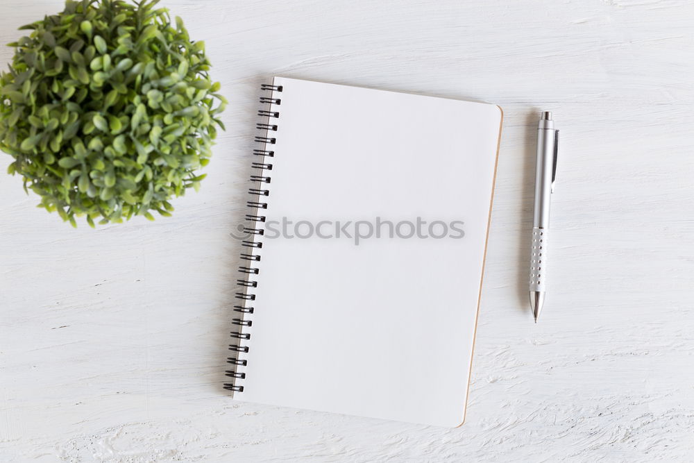 Similar – Image, Stock Photo White sheet of paper & the leaf of a monstera on pink background