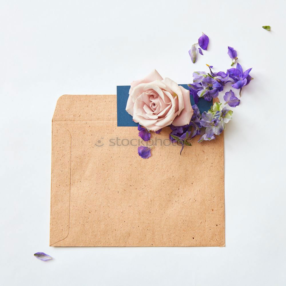 Similar – Flowers and envelope on a light pink background