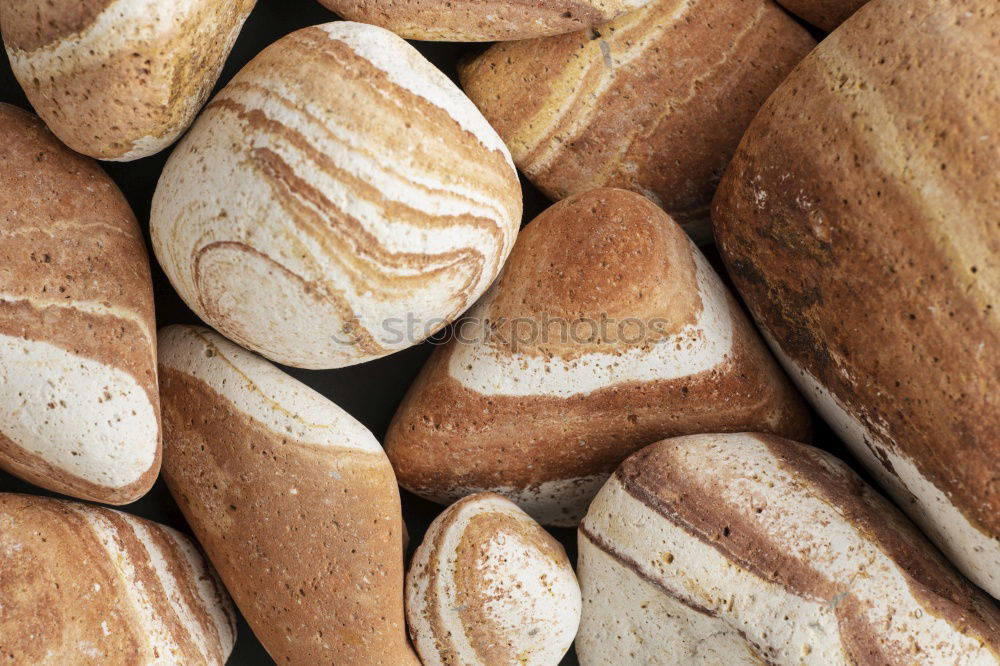 Similar – Many mixed breads and rolls.