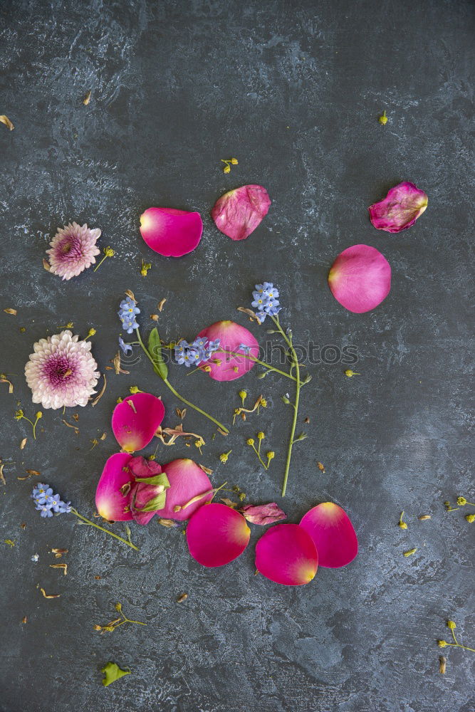 Similar – Bouquet with decoration and greeting card