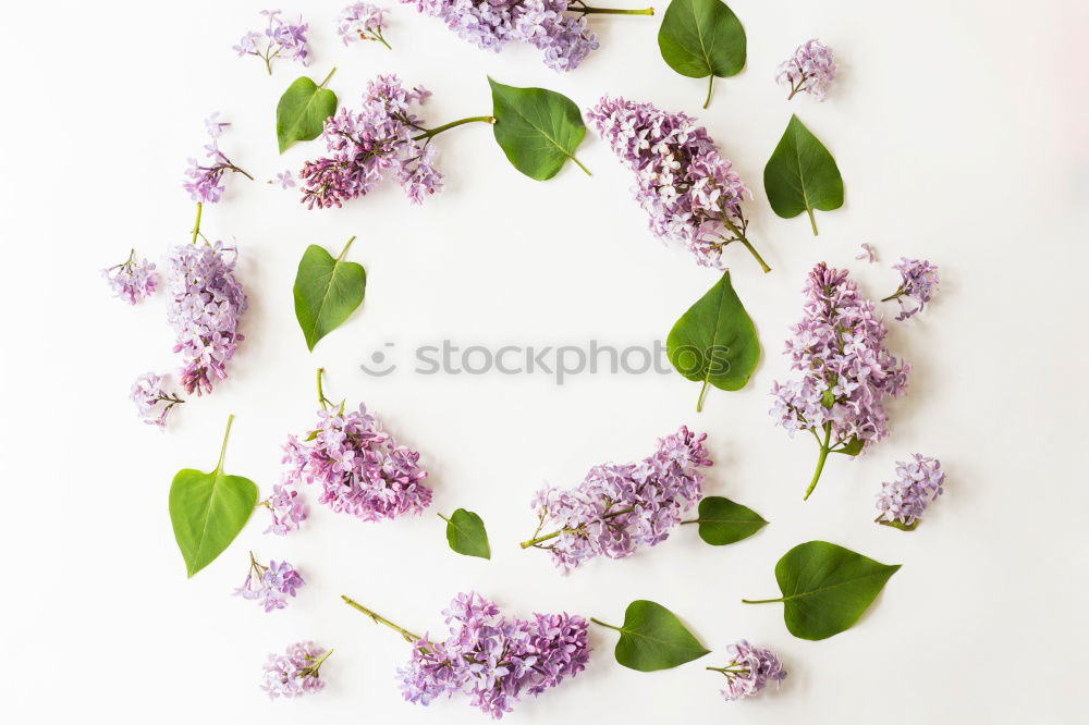 Similar – Garden Still Life Nature