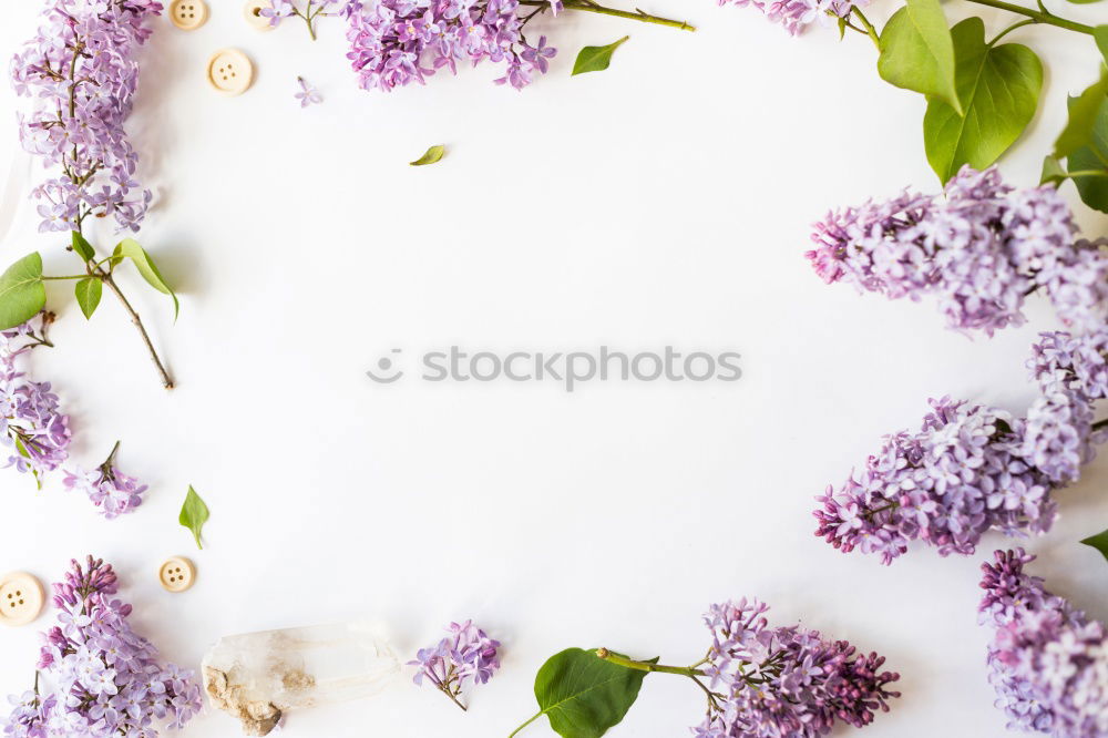 Similar – Round frames with shovel and garden flowers