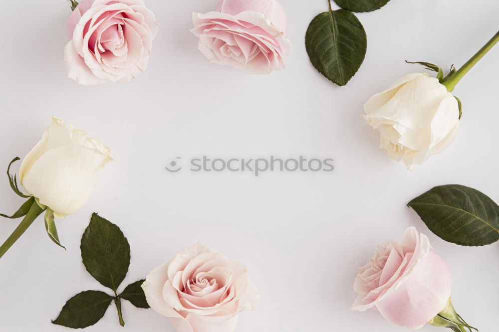 Similar – Image, Stock Photo Flowers and old scissors on wet wooden table