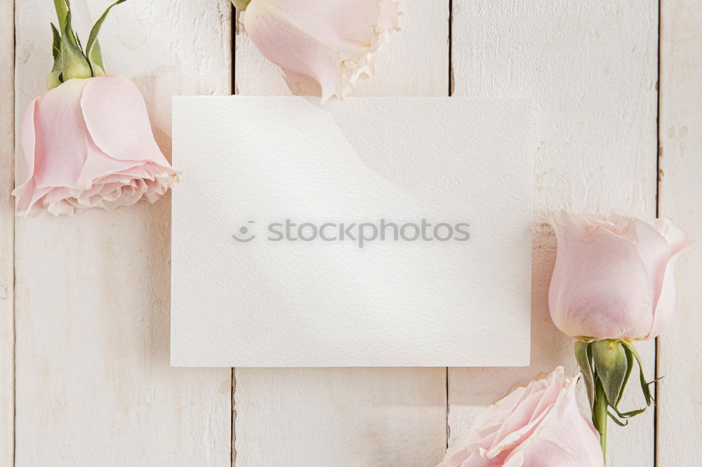 Similar – Pink flowers on white blank paper card