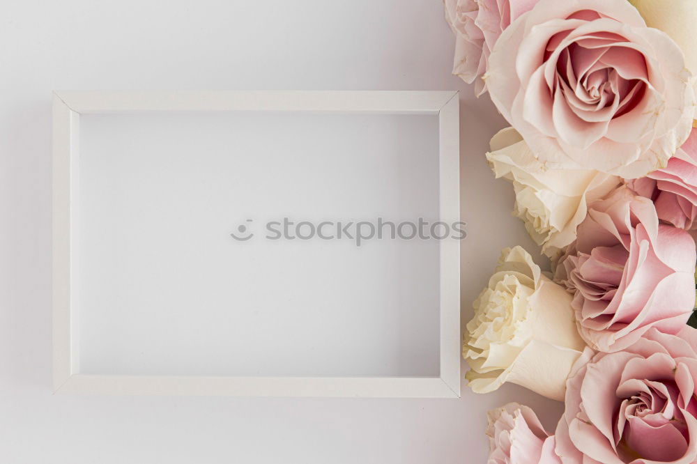 Similar – White blank card with pastel flowers and ribbon