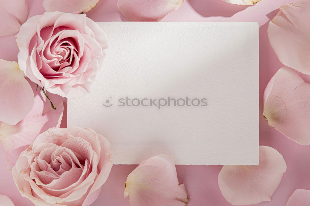 Opened envelope with peonies