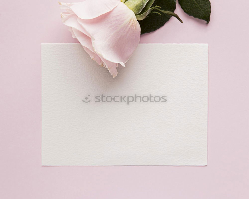 Similar – Beautiful flowers, with empty greeting card