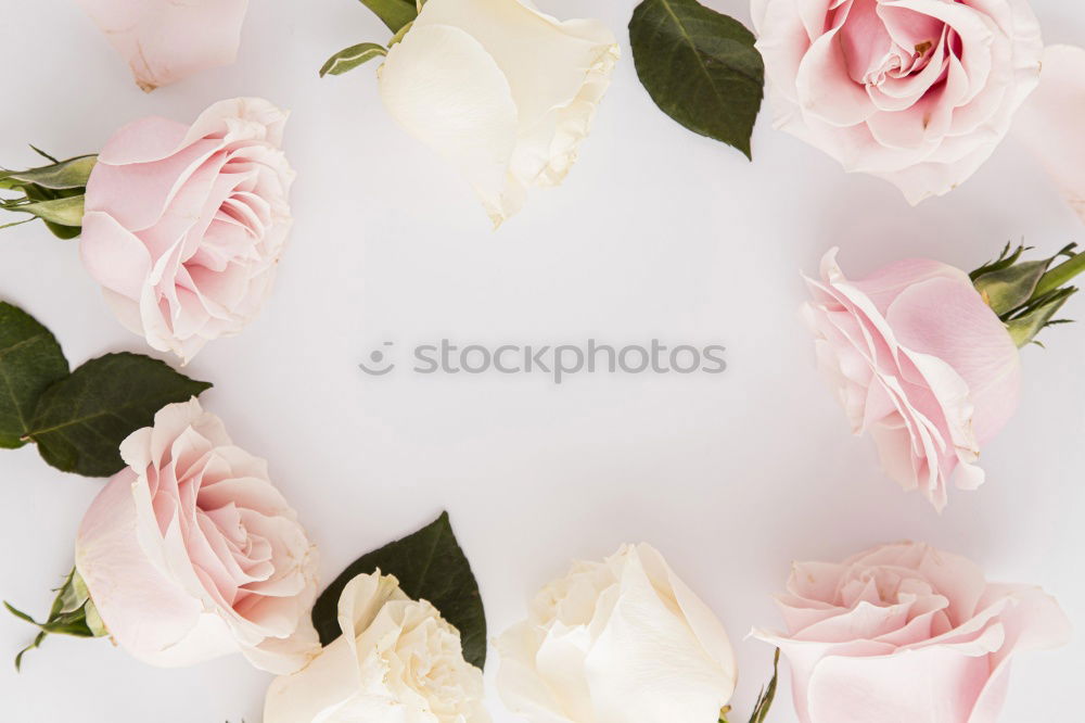 Similar – Nature background with pastel red flowers