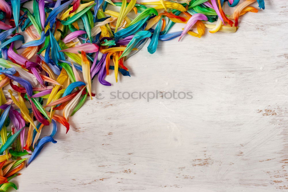 Similar – Image, Stock Photo AKCG# Sweets-America II