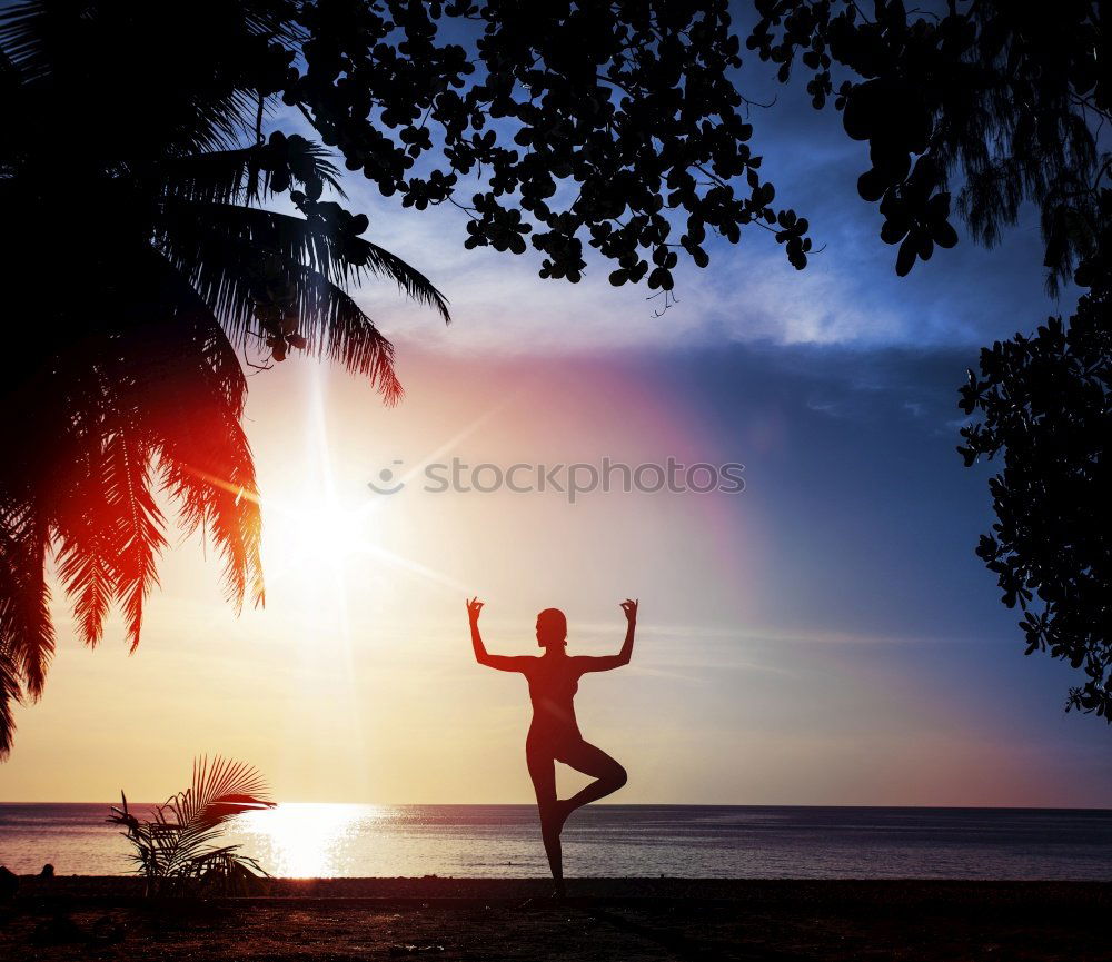 Similar – Image, Stock Photo translucent trees