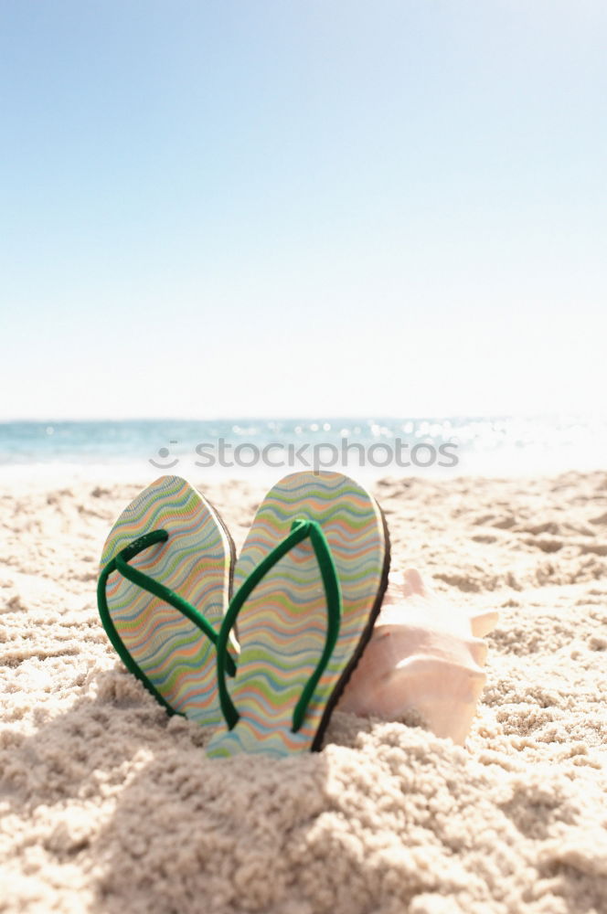 Similar – Image, Stock Photo life is a beach Flip-flops