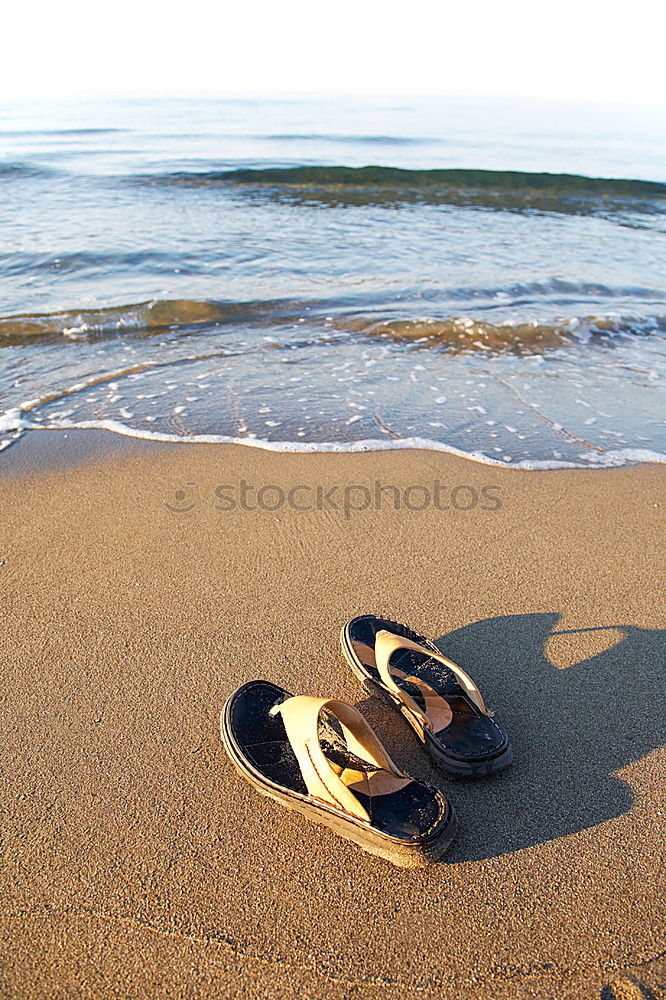 Similar – Image, Stock Photo go for a swim