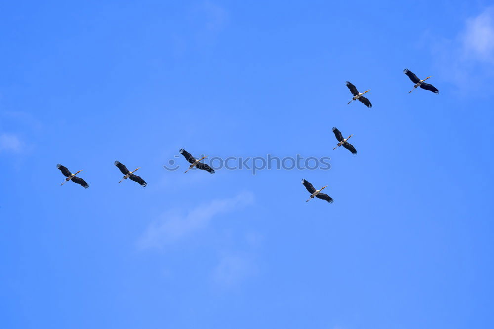 Similar – Image, Stock Photo straight ahead
