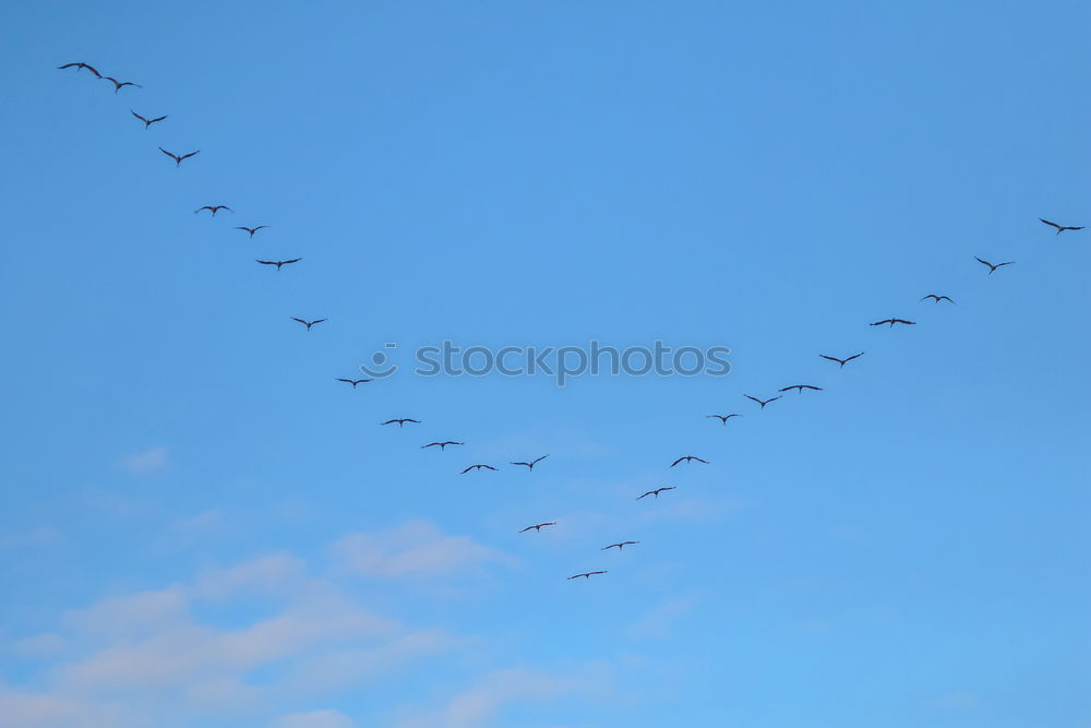 Similar – Image, Stock Photo straight ahead