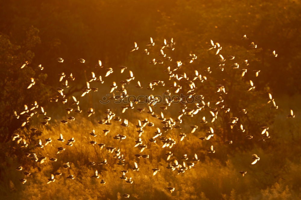 auf gehts Umwelt Natur