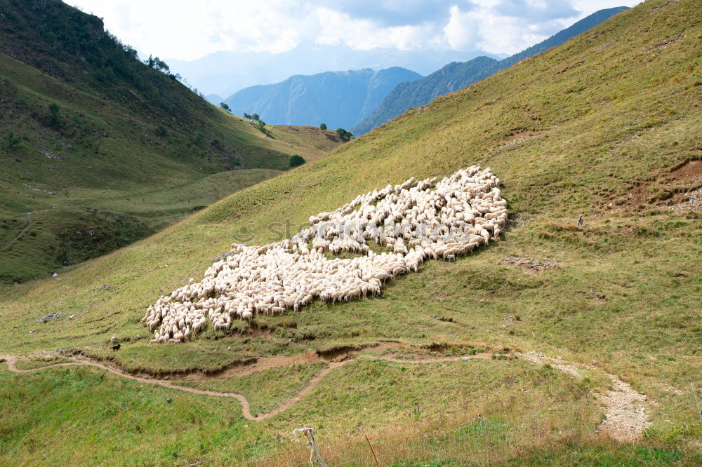 Similar – Image, Stock Photo Picture taken: Pyrenees Hiking Trail 25