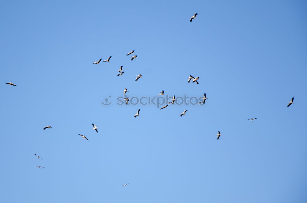 Similar – Foto Bild Aufbruch
