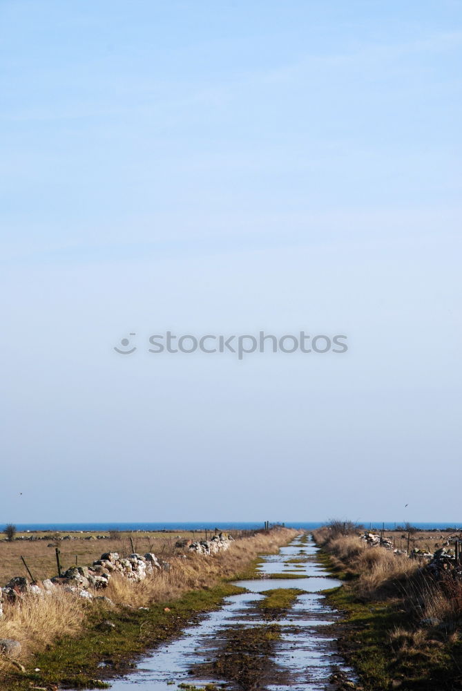 Similar – Foto Bild Coastflow Meer Landschaft