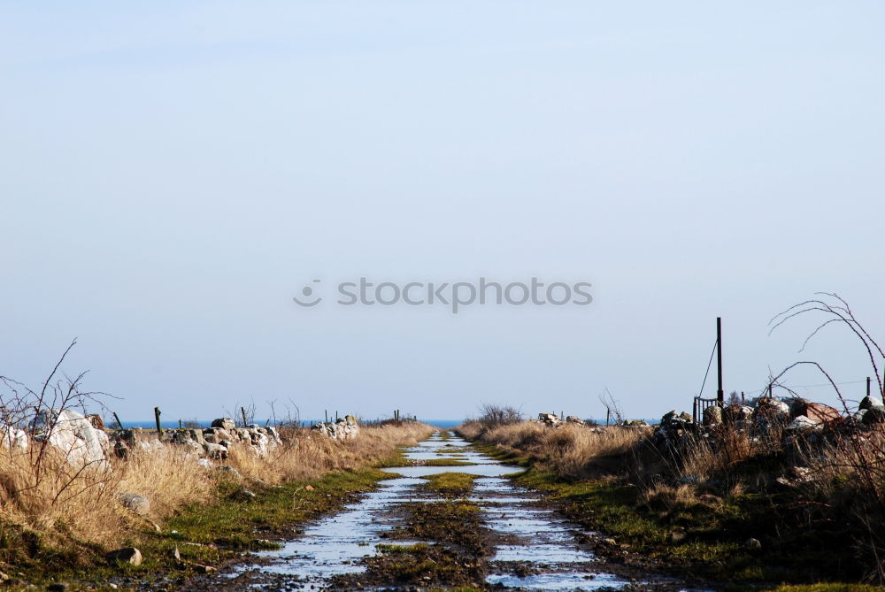 Similar – Image, Stock Photo winter walk Lifestyle