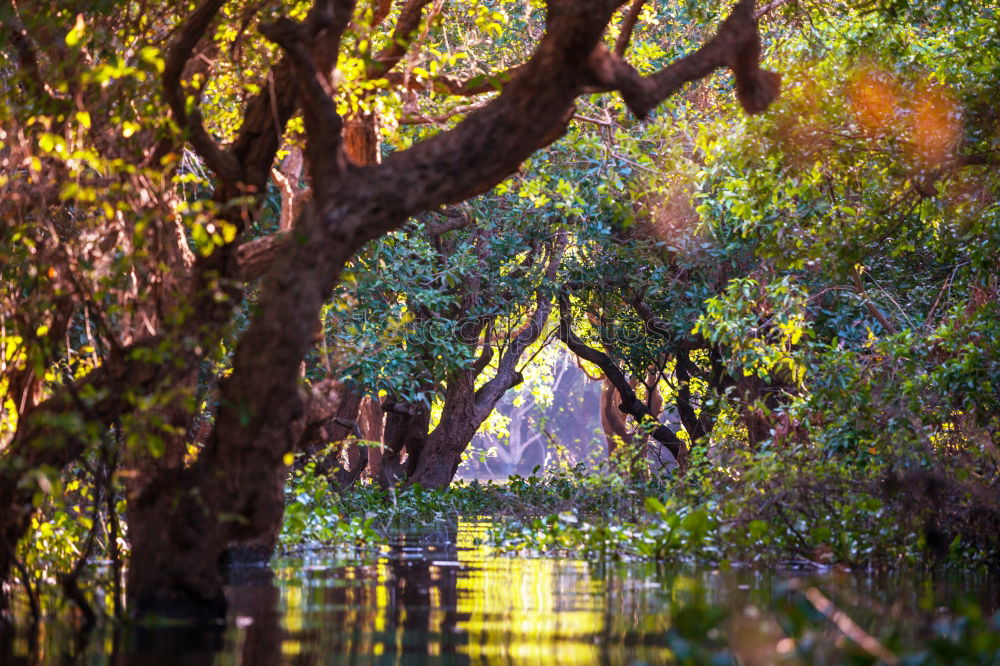 Similar – water gate Nature