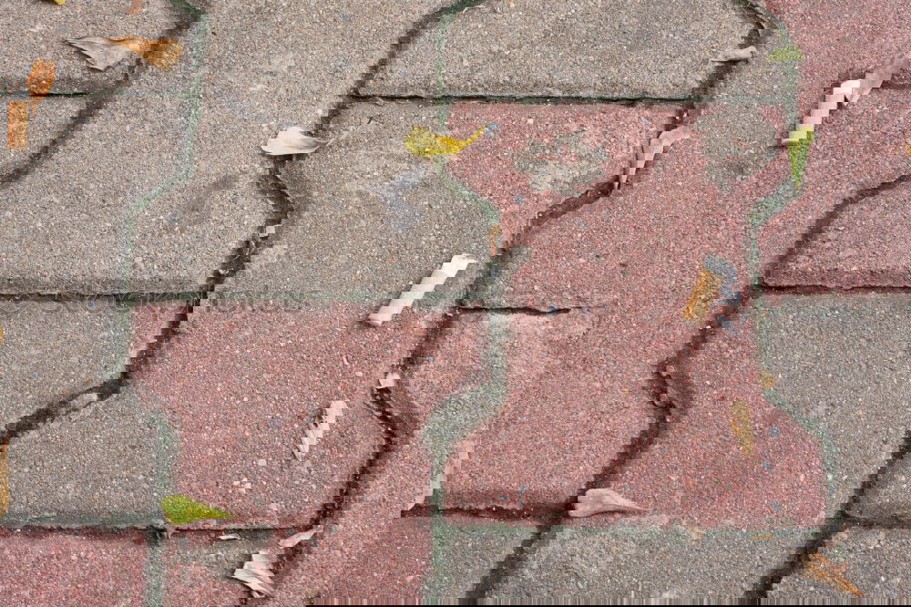 Similar – Image, Stock Photo Power Fertilisation Gully