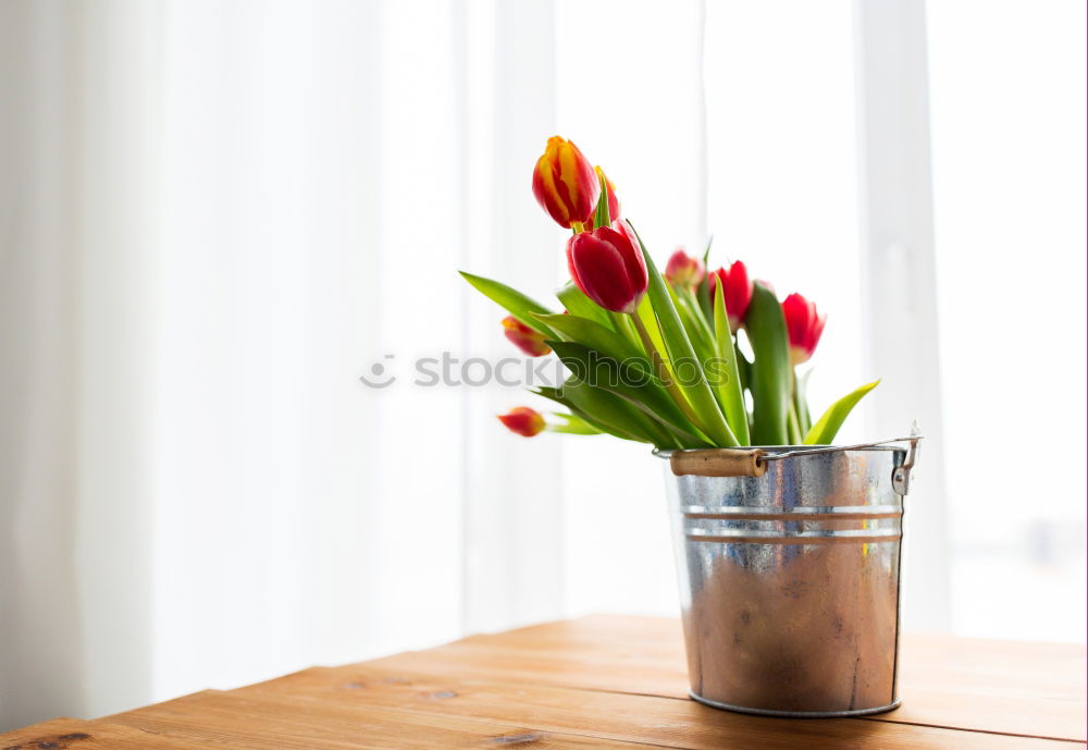 Similar – Terracotta flowerpot with geraniums at the window