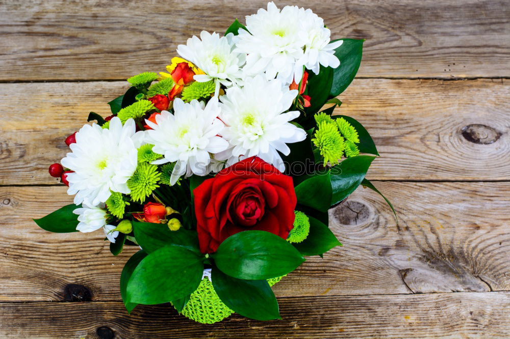 Similar – Image, Stock Photo flowers Wood Basket Flower